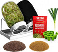 Sprouting Jar Kit - 2 Mason Jars with Broccoli & Alfalfa Seeds by ZESTIGREENS