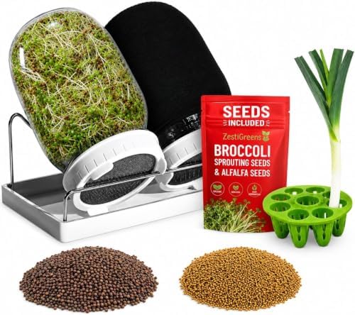 Sprouting Jar Kit - 2 Mason Jars with Broccoli & Alfalfa Seeds by ZESTIGREENS