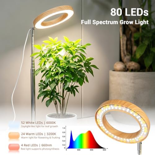 Lordem 2-in-1 Grow Light with Stand for Indoor Plants,Timer - Image 3