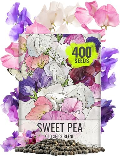 Seed Needs Flower Seeds to Plant Old Spice Sweet Pea - 1 Ounce Bulk Pack by SeedNeeds