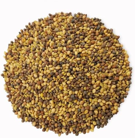 Food to Live Organic Antioxidant Mix of Sprouting Seeds, 1 Pound – Non-GMO Broccoli, Alfalfa, Clover, Rich Germination Rate, Non-Irradiated, Kosher, Vegan Superfood, Bulk, Rich in Sulforaphane - Image 3