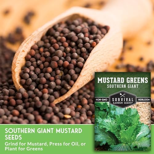 Southern Giant Mustard Green Seeds for Planting - 1 Pack - Image 5