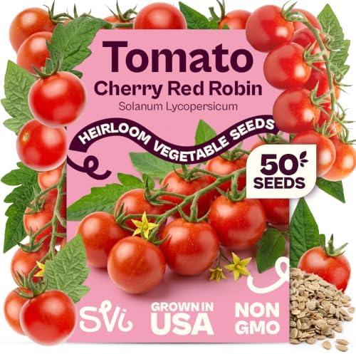 SVI 50 Red Robin Cherry Tomato Heirloom Seeds Lycopersicon esculentum by SVI