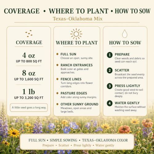 Wildflower Seeds for Central & Western Texas – 9-Species Regional Blend for Full Sun, Heat & Dry Conditions; Annual & Perennial Flowers; 4 oz Covers Up to 800 sq ft – Paper Street Perennials - Image 5