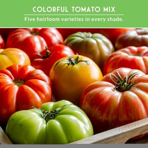 Colorful Heirloom Tomato Seeds 5 Variety Pack - Survival Garden Seeds - Image 4