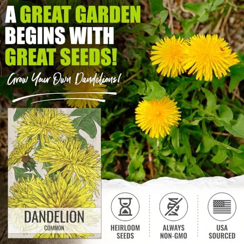 Seed Needs Common Dandelion Seeds to Plant an Herb Garden - 5 Packs - Image 2
