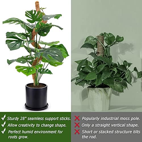 Soupiar 2-Pack 28" Bendable Moss Pole for Monstera, Rust-Free Aluminum Core Plant Support Stakes, Sturdy Stakes to Train & Grow Indoor Climbing Plants Upright (13.2ft Jute Rope Included) - Image 5