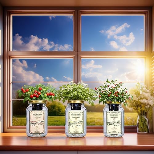 Salsa Garden Mason Jar Grow Kit (3 Pack) – Tiny Tim Tomato, Lemon Cilantro & Chiltepin Pepper – Indoor Hydroponic Herb & Vegetable Grow Kit – Windowsill Salsa Ingredient Garden - Image 4