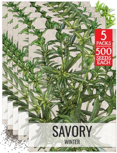 Seed Needs Winter Savory Seeds to Plant an Herb Garden - 5 Packs by SeedNeeds