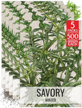 Seed Needs Winter Savory Seeds to Plant an Herb Garden - 5 Packs by SeedNeeds