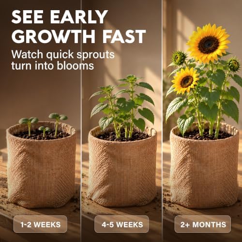 Sunflower Seeds Growing Kit - Image 5