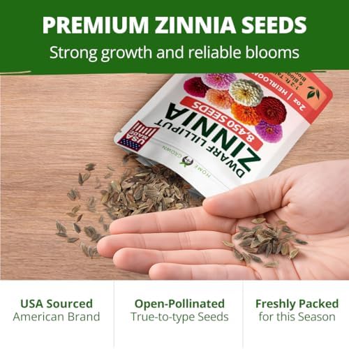 HOME GROWN Lilliput Mix Zinnia 8450 Flower Seeds Zinnia elegans - Image 6
