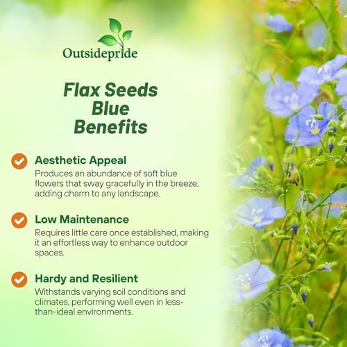 Outsidepride Blue Flax Seeds - 1 lb Perennial Flower Seeds for Planting, Self-Seeding, Drought-Tolerant w/Compact Growth, Ideal for Small Gardens, Meadows, Borders, or Mass Plantings - Image 4