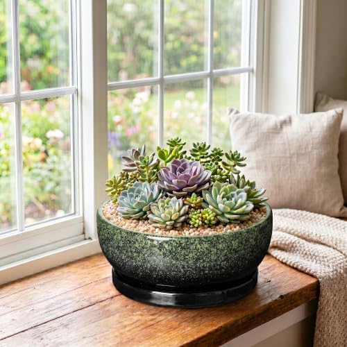 Bonsai Pots Ceramic, 10 Inch Succulent Planter, Speckle Green - Image 4