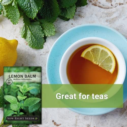 Sow Right Seeds - Lemon Balm Seed for Planting Perennial Medicinal Herb 3pk - Image 5