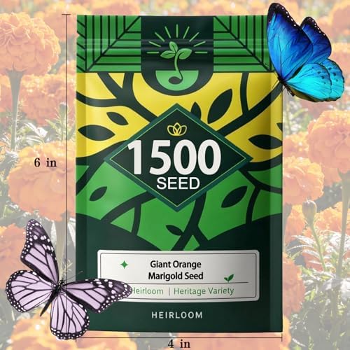 Orange Marigold Seeds for Planting, 1500 Flower Seeds, Pollinator-Friendly - Image 7