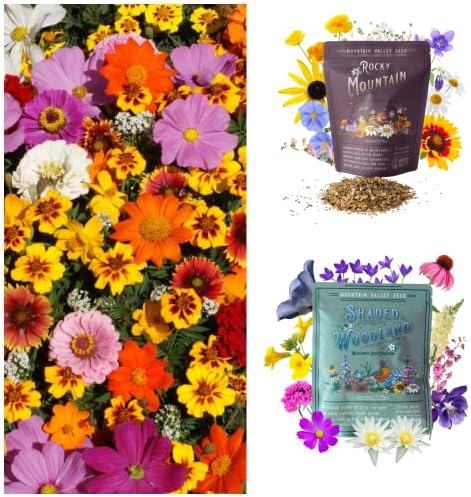 Mountain Valley Seed Co Wildflower Seeds Collection - 500,000+ Bulk Seeds - Image 5