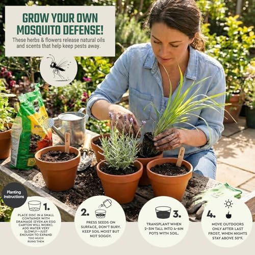 Tactiko Garden Herb Seed Kit with 6 Coir Soil Discs - Image 6