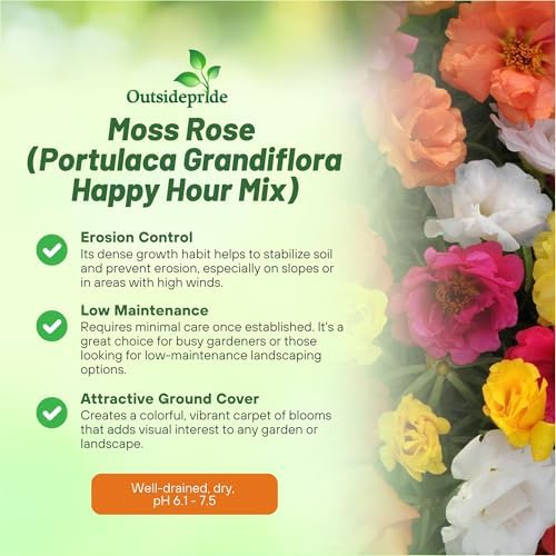 Outsidepride Happy Hour Mixed Moss Rose Seeds - 250 Pcs Annual, Drought & Heat Tolerant, Pollinator Friendly Ground Cover Seeds for Planting w/Vibrant Blooms & Succulent Foliage, for Xeriscaping - Image 3
