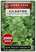 Sow Right Seeds - 2000 Cilantro Seed for Planting Bulk Jumbo Pack Coriander by SowRightSeeds