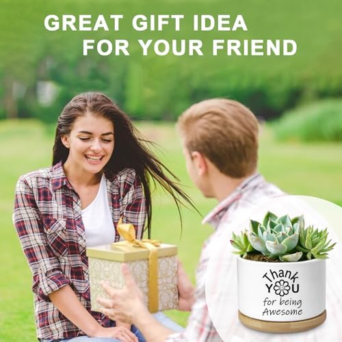 Thank You Gifts for Women, Succulent Planter, Flower Cactus Plant Pot, Employee Appreciation Gifts for Coworkers Nurse Friends Women, Thank You for Being Awesome (No Plants) - Image 6