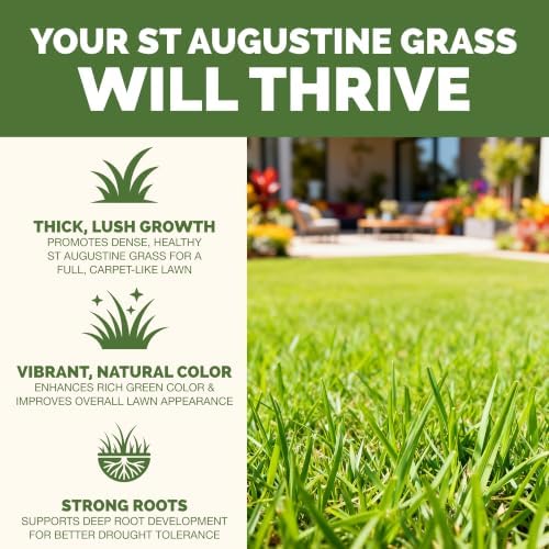 St Augustine Grass Fertilizer, Liquid Lawn Food for Thicker Growth, 32 oz - Image 2