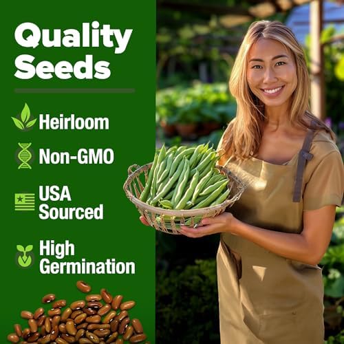 HOME GROWN Contender Bush Bean Seeds, 56+ Seeds, Phaseolus vulgaris - Image 3