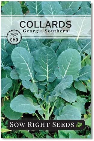 Sow Right Seeds - Georgia Southern Collard Green Seed for Planting Garden by SowRightSeeds