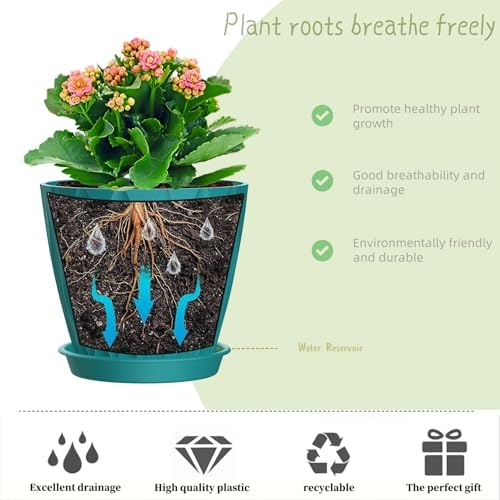 6 Inch Plant Pots, 6 Pack Indoor Flower Pots, Planters with Drainage Holes and Trays for Orchids, Violets, Succulents, Herbs, and Other Plants,Blue-Green - Image 4
