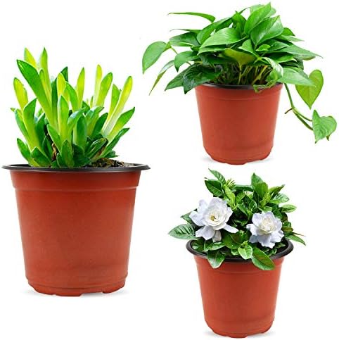 Augshy 130 Pcs 6 Inches Plastic Plant Nursery Pots, Seed Starting Container - Image 6