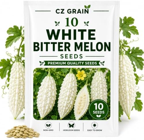10 White Bitter Melon Seeds for Planting – Edible Climbing Garden Vine by CZGrain