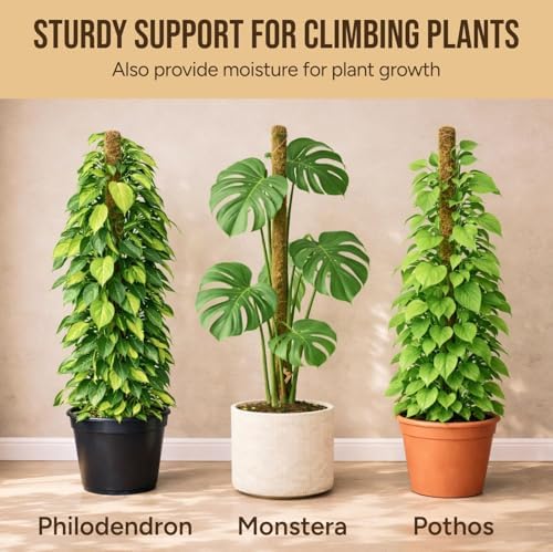 30" Moss Pole Monstera Plant Support, Plant Stakes for Indoor Plants - Image 4