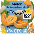 SVI 100 Imperial 45 Cantaloupe Melon Seeds (Cucumis Melo) – Sweet Golden Melon, Open-Pollinated, Non GMO, Heirloom Seed Packets – Ideal Vegetables Seeds for Garden Plots, Raised Beds & Greenhouses by SVI