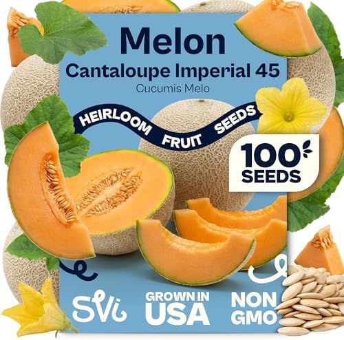 SVI 100 Imperial 45 Cantaloupe Melon Seeds (Cucumis Melo) – Sweet Golden Melon, Open-Pollinated, Non GMO, Heirloom Seed Packets – Ideal Vegetables Seeds for Garden Plots, Raised Beds & Greenhouses by SVI