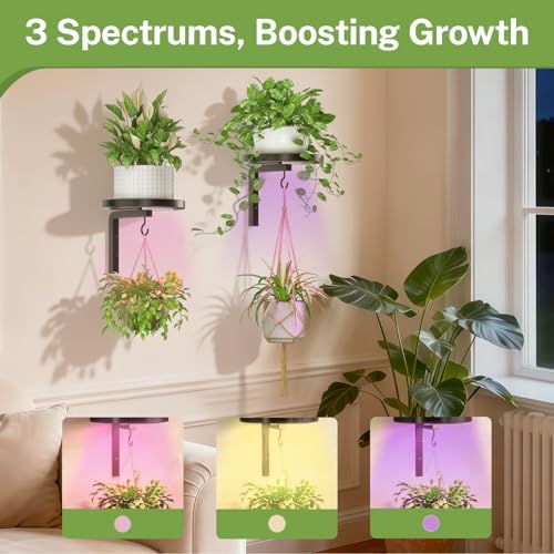 Plant Wall Hanger with Grow Lights Set of 2 for Indoor, Black - Image 5