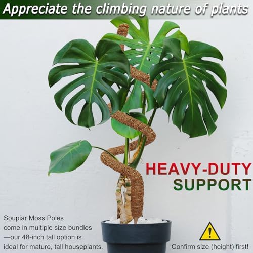 2 Pack 48'' Bendable Moss Pole for Monstera & Pothos - Tall Handmade Coco Coir Plant Support Stakes for Large Climbing Indoor Plants, Potted Houseplant Trellis Accessories - Image 3