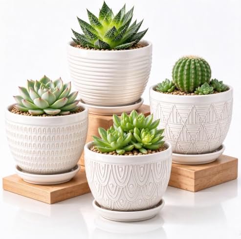 4.8 Inch Succulent Pots, Flower Pots, Ceramic Planters for Indoor Plants by MISSYSSIM