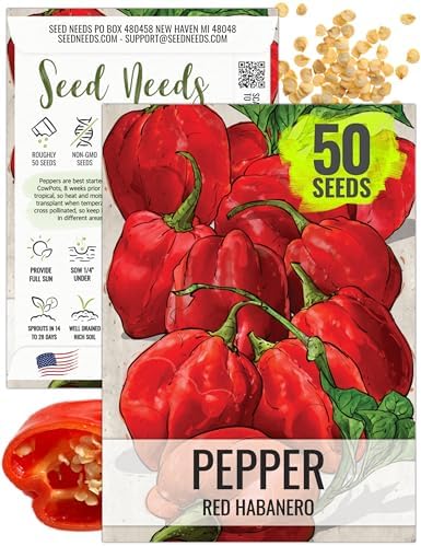 Seed Needs Red Habanero Hot Pepper Seeds to Plant Vegetables - 1 Pack by SeedNeeds