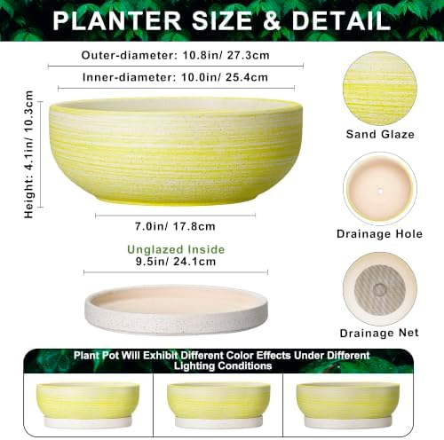 10 Inch Ceramic Bonsai Planter with Saucer, Brushed Yellow - Image 2