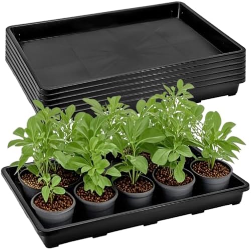 ZAVOOS 6 Pack Nursery Potting Trays with No Drain Holes by YouroasisForallofusCreatingsharedcomfortforeveryhome