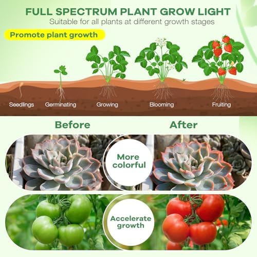 Led Grow Lights, 3 Heads Red Blue Plant Light with Clamp for Indoor Plants & Seed Starting, 10-Level Dimmable, Auto On Off, Timing 3 9 12Hrs - Image 3