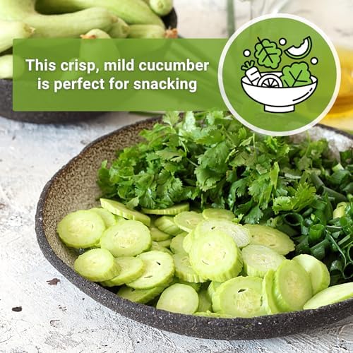 Sow Right Seeds - Armenian Pale Green Cucumber Seeds for Planting - Non-GMO Heirloom Packet with Instructions to Plant and Grow a Home Vegetable Garden - Yard Long Variety for Outdoors (3) - Image 5
