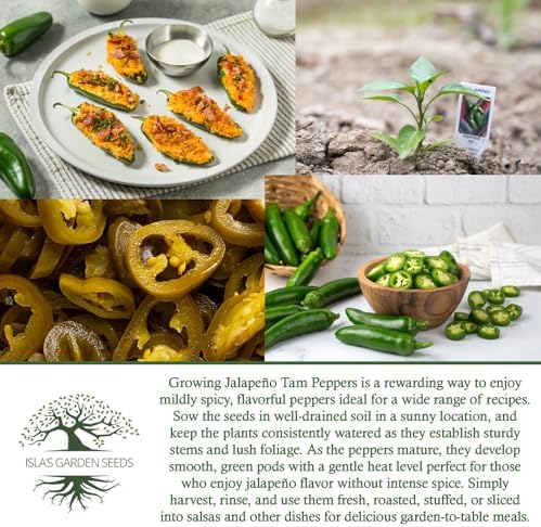 Jalapeño Tam Pepper Seeds (Capsicum annuum) – 50+ Non GMO & Heirloom Seeds by Isla’s Garden Seeds, Mild-Heat Jalapeños for Salsas, Stuffing & Fresh Cooking, Ideal Kitchen Garden Gift Idea - Image 6