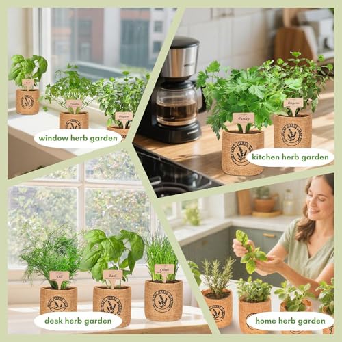 10 Indoor Herb Garden Kit- Burlap Pots, Organic Seeds, Herb Garden Planter Indoor Kit, Easy Window & Kitchen Herbs Growing Kit, Cilantro, Basil, Sage, Oregano, Parsley, Dill, Chives etc. - Image 4