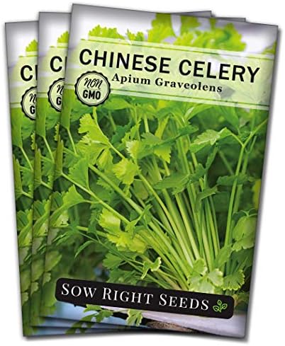 Sow Right Seeds - Chinese Celery Seed for Planting Outdoor Vegetable 3pk by SowRightSeeds