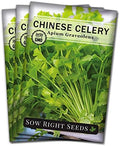 Sow Right Seeds - Chinese Celery Seed for Planting Outdoor Vegetable 3pk by SowRightSeeds
