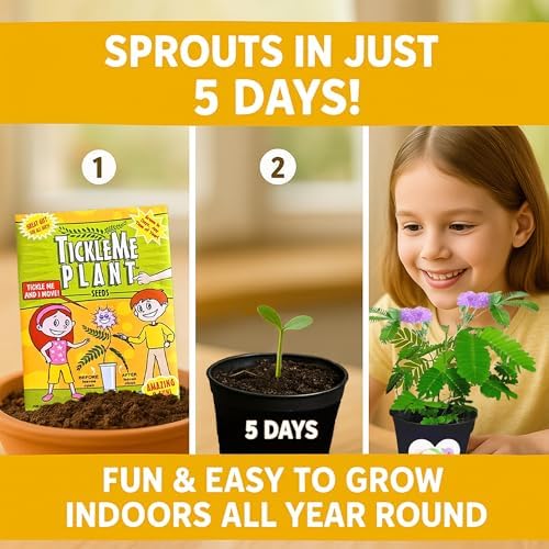 Birthday Gift for Mom – TickleMe Plant that Moves When Touched – Adult Plants Can Produce Pink Flowers – Unique Gift for Mom from Daughter, Son or Kids – Easy Indoor Grow Kit - Image 6