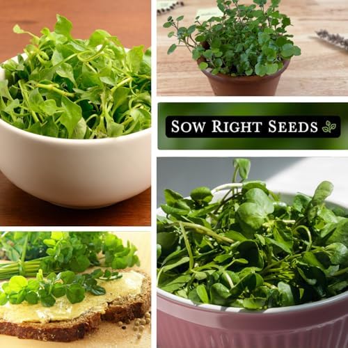 Sow Right Seeds - Watercress Seed for Planting Perennial Water Cress - Image 4