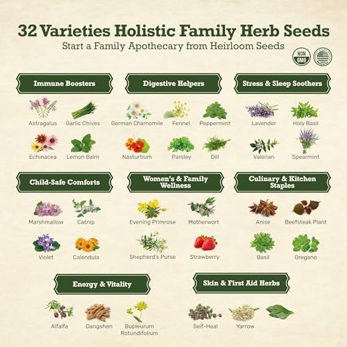Lush&Dew Holistic Family Apothecary Seed Chest, 30000+ Medicinal Herb Seeds - Image 2