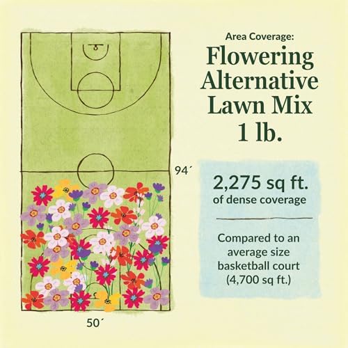 Ferry-Morse Flowering Grass Alternative Seed Mix, 400,000+, 1 lb - Image 6